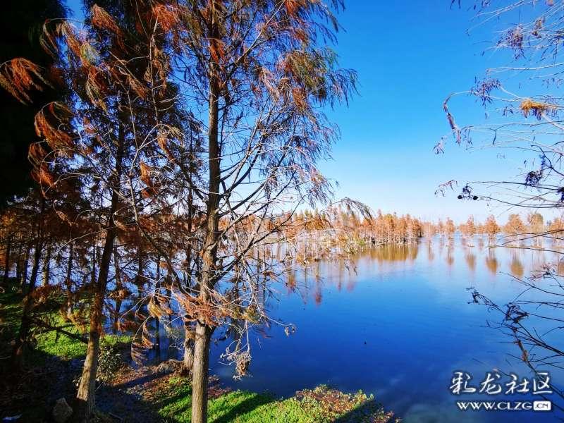 1月26日海南瑞泽涨停分析:海南,赛马,自由贸易港概念热股