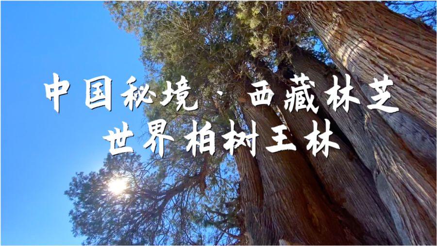 生化危机5