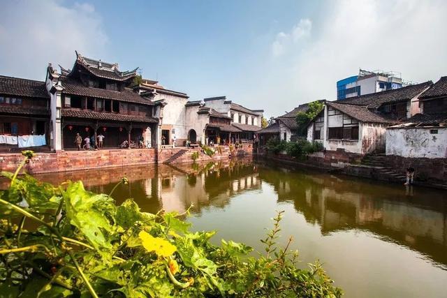 动物帮帮忙保卫家园