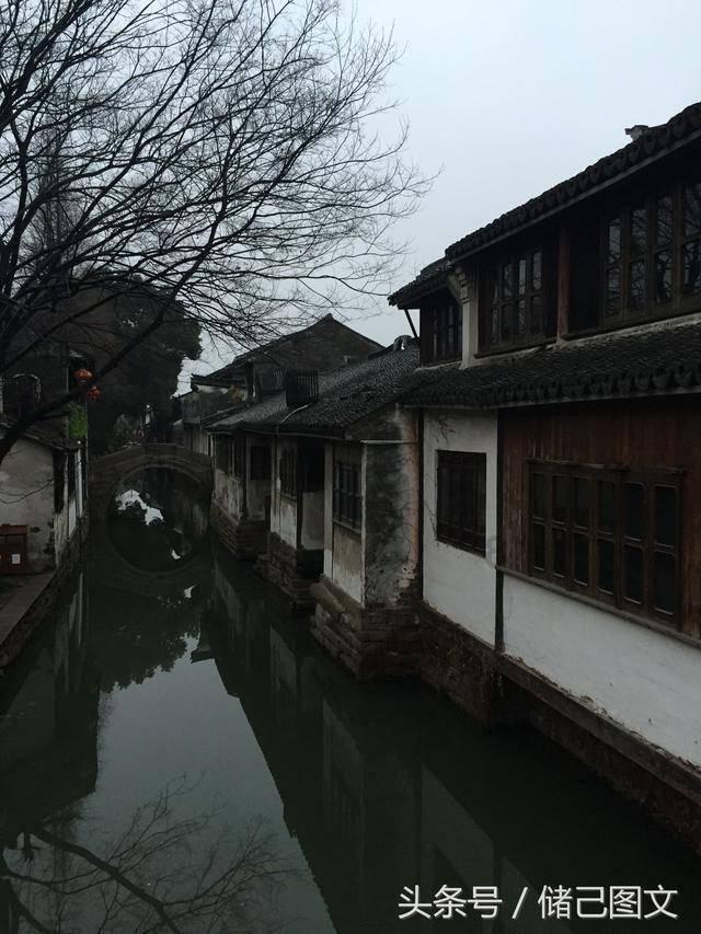 放飞笼中鸟
