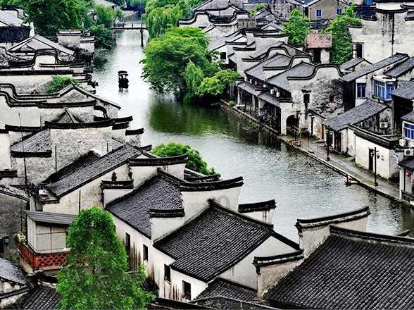 迷失在荒野